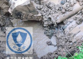 温州水管漏水检测公司5